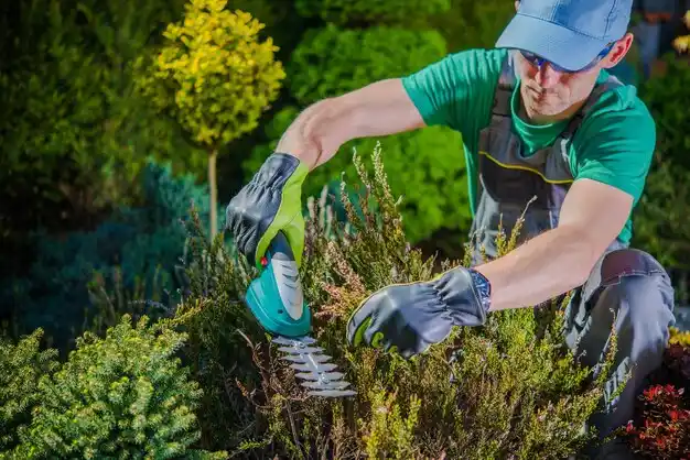 landscaping services Okemos